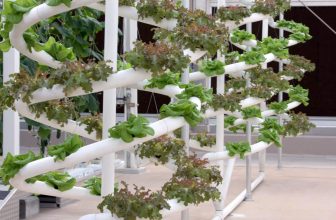best Vertical hydroponic system