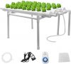 Budget Friendly Hydroponic Kit