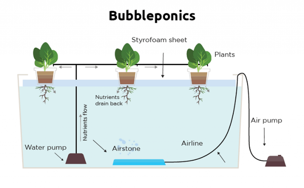 Bubbleponics System