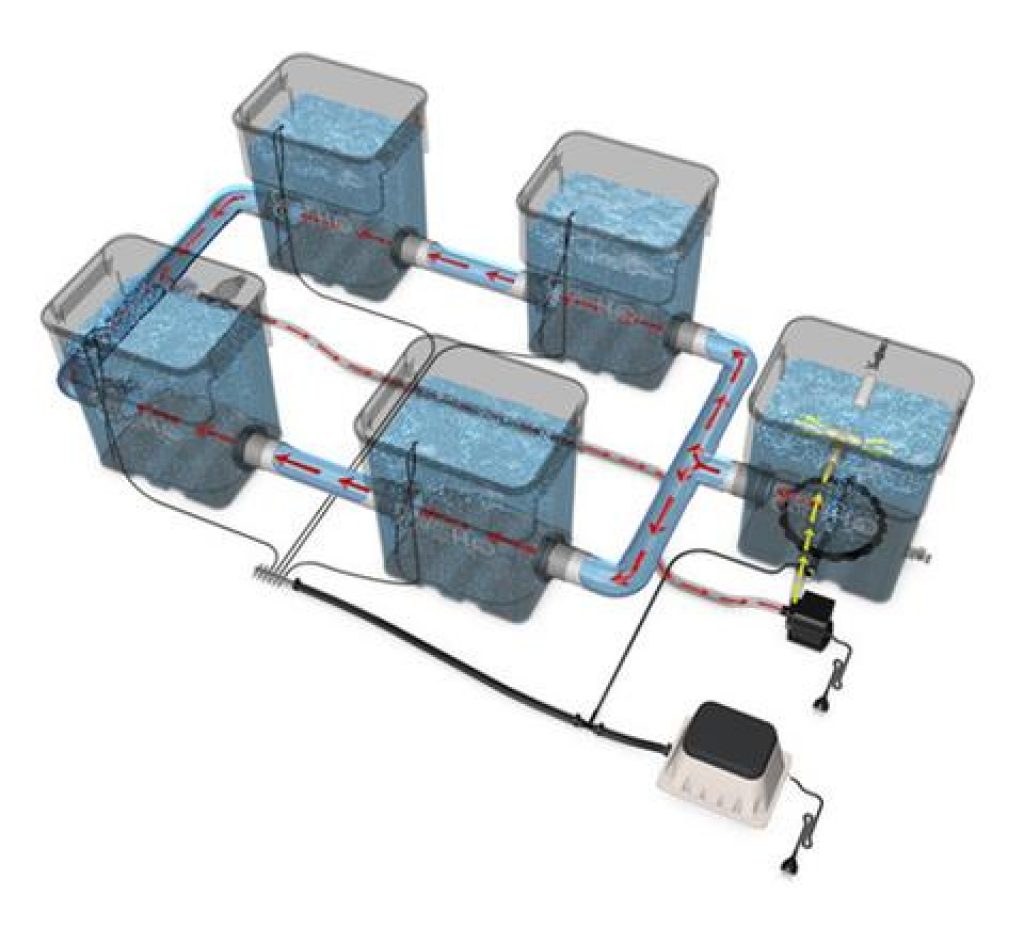 Recirculating Deep Water Culture System