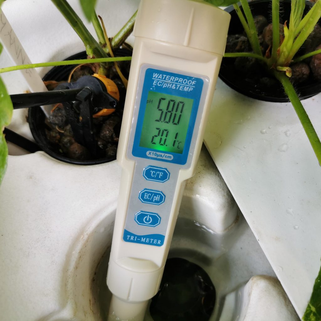 An EC meter measuring the electrical conductivity of a DIY hydroponic nutrient solution.