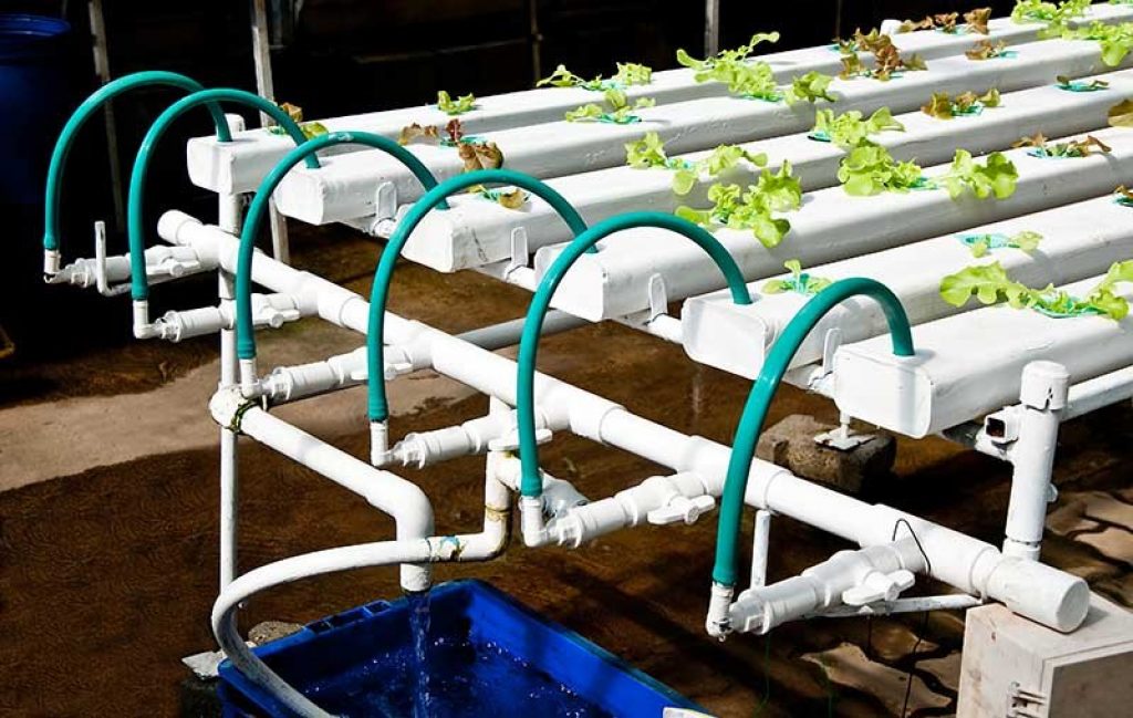 Nutrient Film Technique Hydroponic System