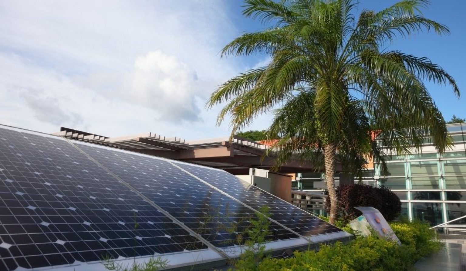 will-solar-panels-get-cheaper-purchasing-advice-climatebiz