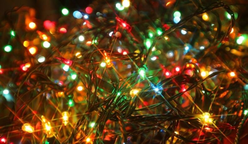 Best Solar Christmas Lights (That Your Family Will Love)