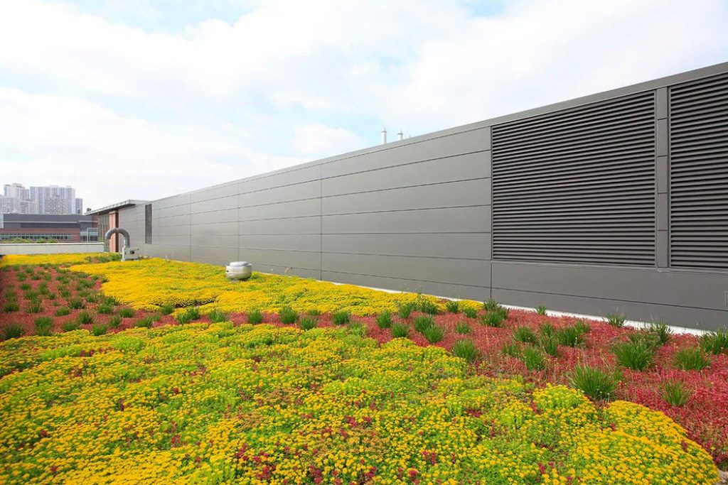 Extensive green roof system.