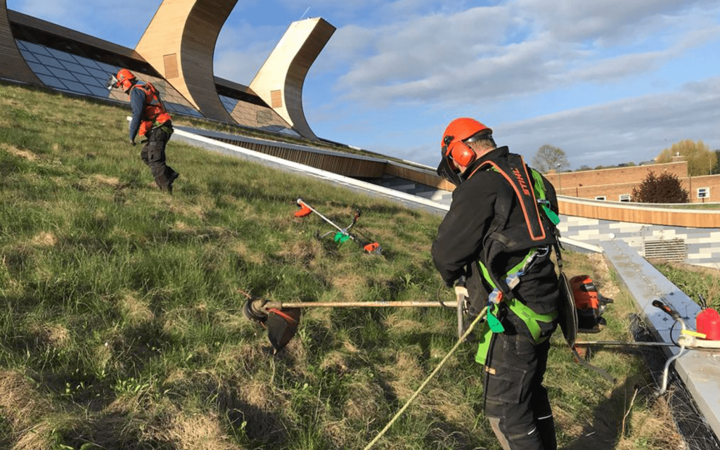 Green roof maintenance in action.