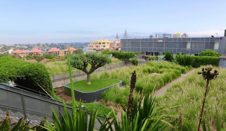 green roofs