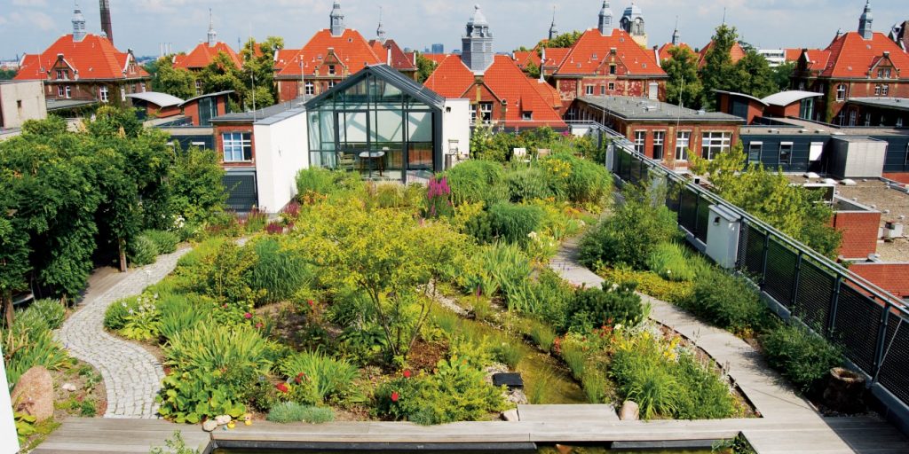 Intensive green roof system.