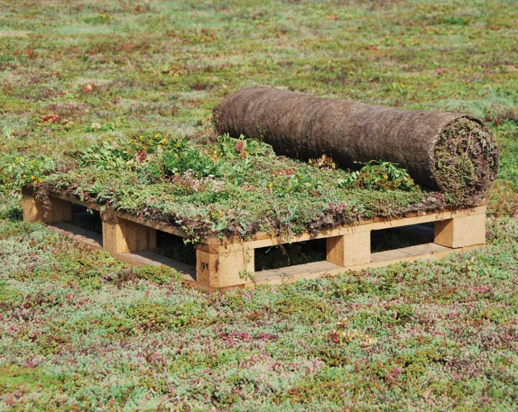 A precultivated vegetation blanket.