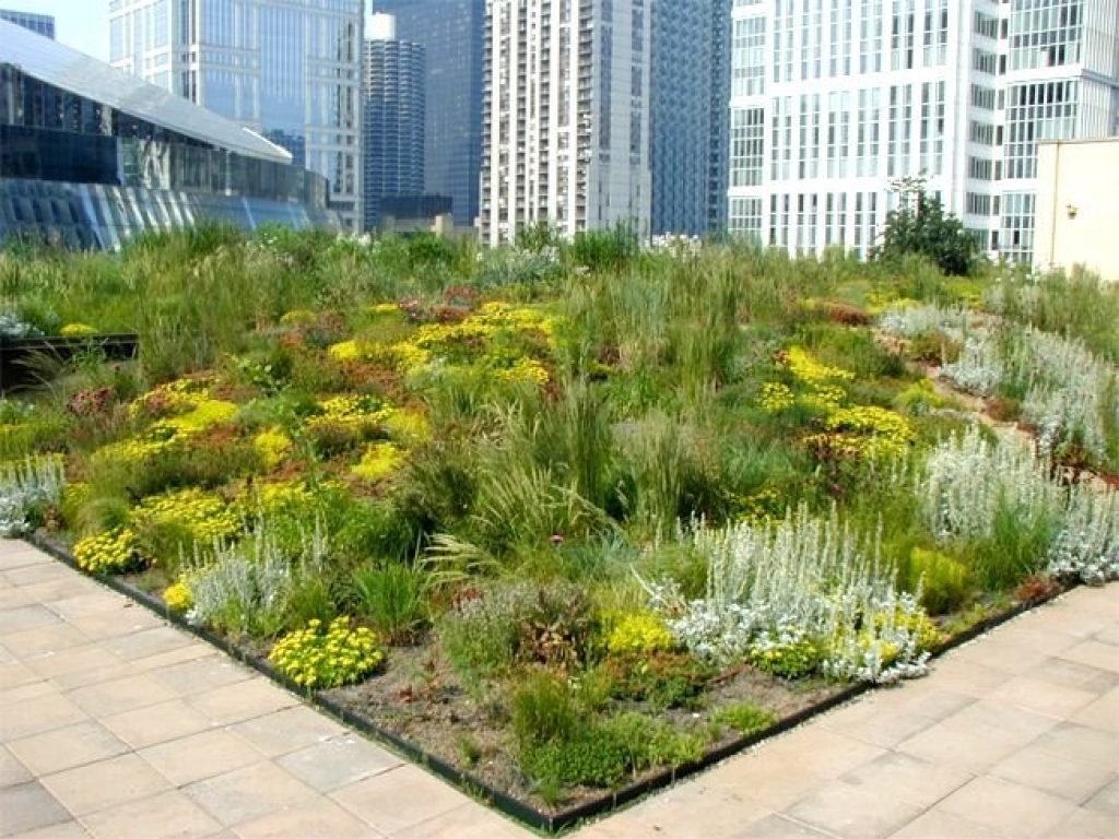 Semi-intensive green roof.