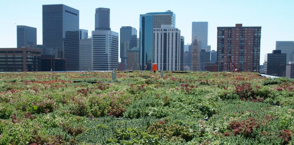 A green roof on top of a commercial building.