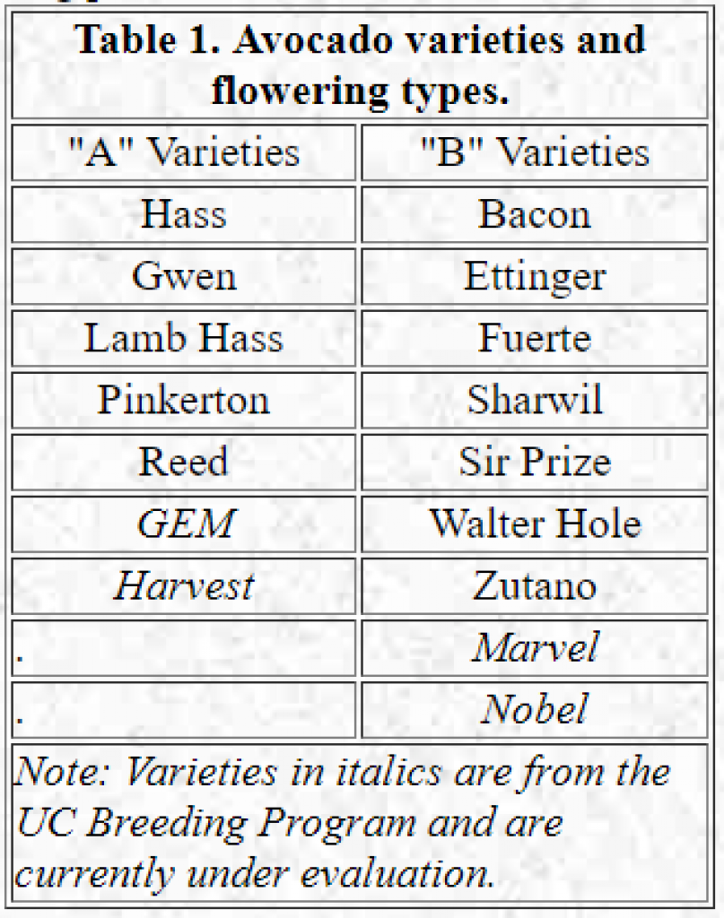 Avocado varieties and flowering types.