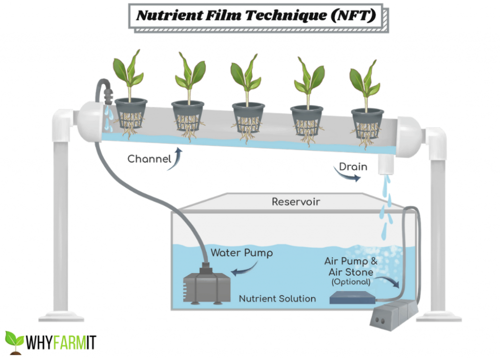 A diagram of the NFT hydroponic system.