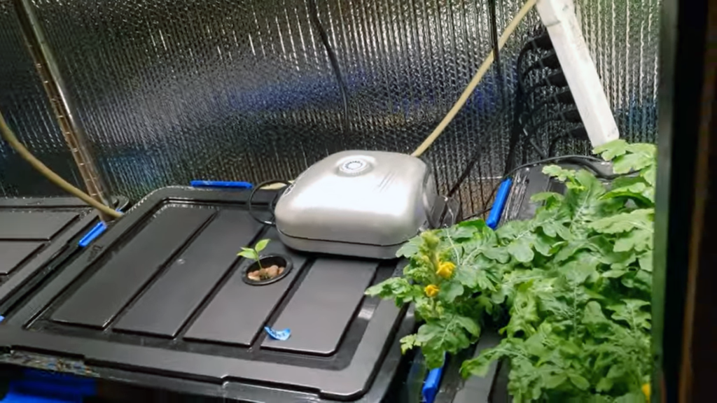 Hydroponic water pump.