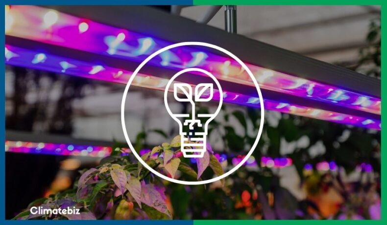 Indoor Grow Lights For Plants