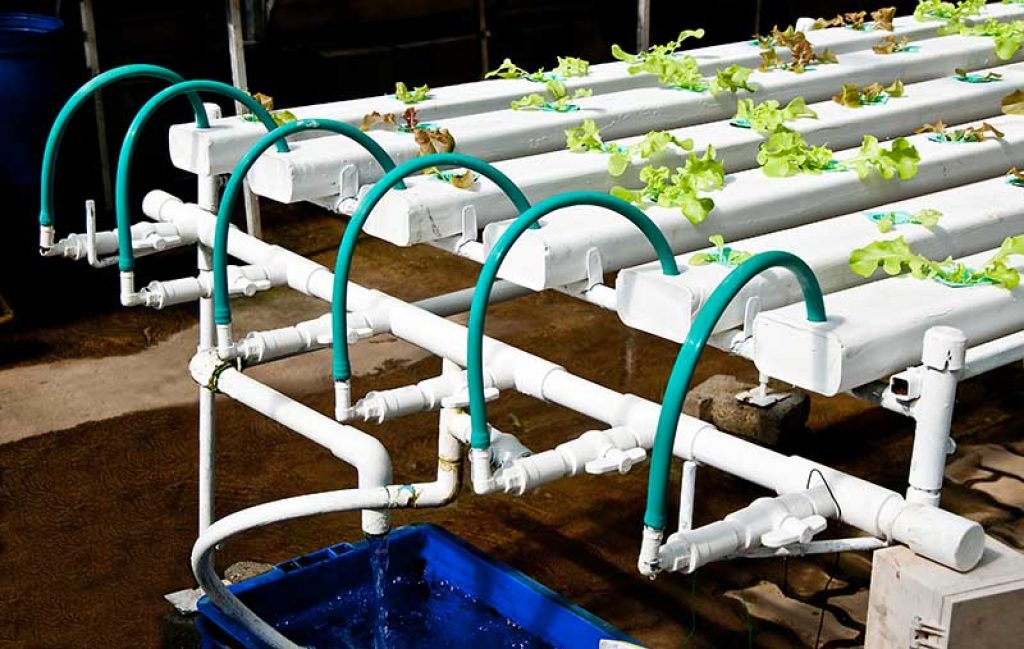 An array of NFT hydroponic system growing channels. You'll notice that the above chambers are flat at the bottom. This helps balance out the nutrient nutrient-to-air ratio.