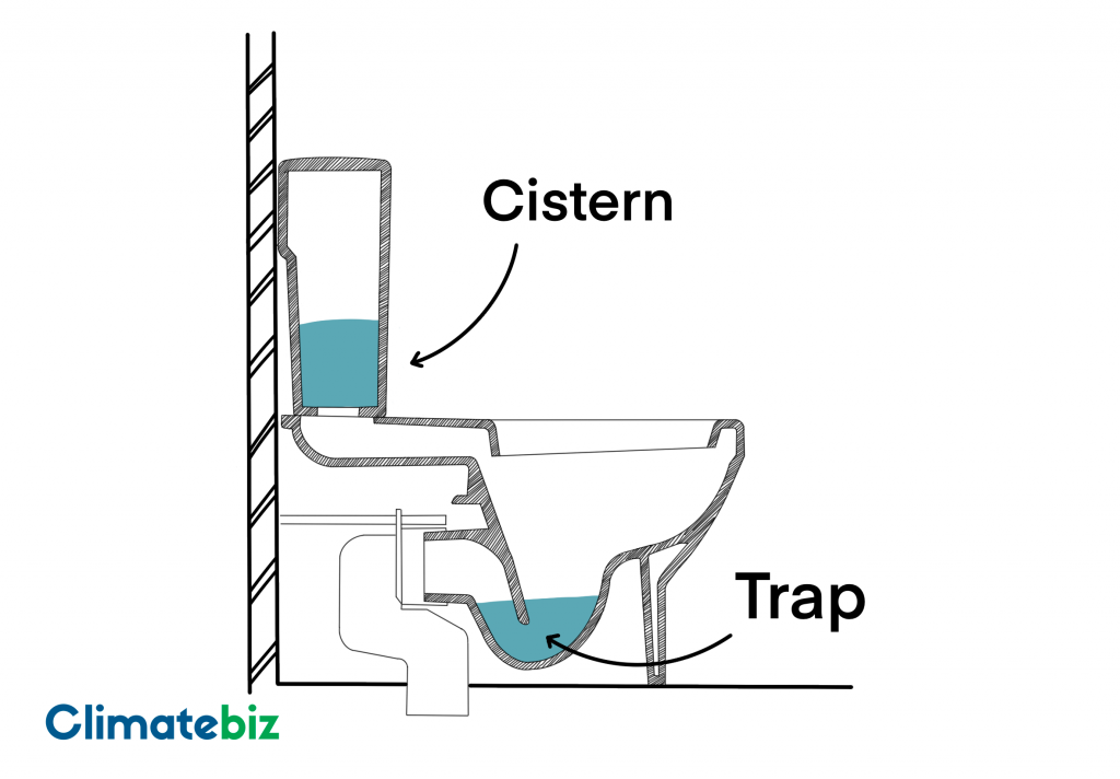 A toilet trap and cistern. Notice how the trap is full. This is what prevents the smell from coming through - low-flow toilets.