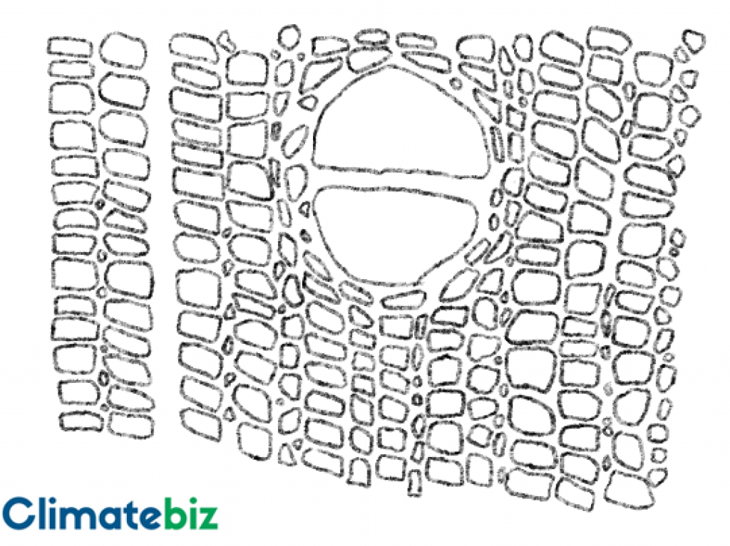 The molecular structure of timber — green fiber insulation.