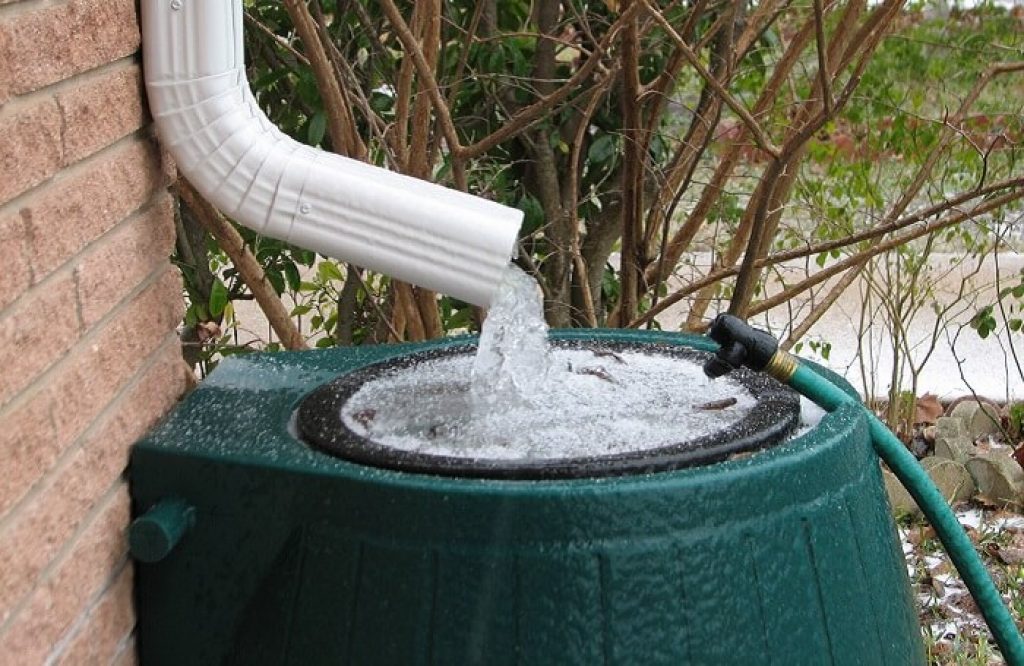 A simple way to collect rainwater is with a barrel. This barrel has a mesh on top to filter debris out of the water.