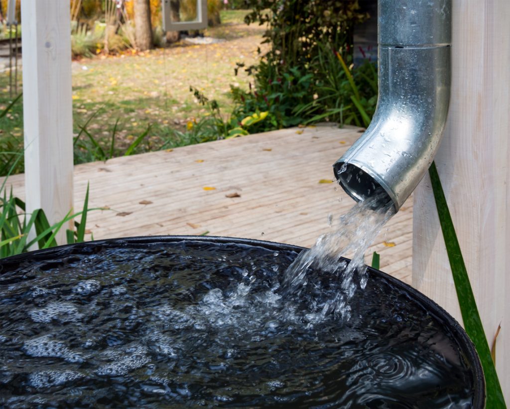 A simple rainwater collection system. It collects rainwater straight from the downpipe.