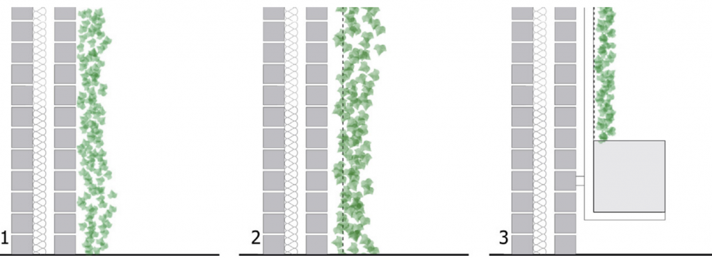 Three types of green facades: 1 - Direct, 2 - Indirect, 3 - Indirect with Planter Boxes.