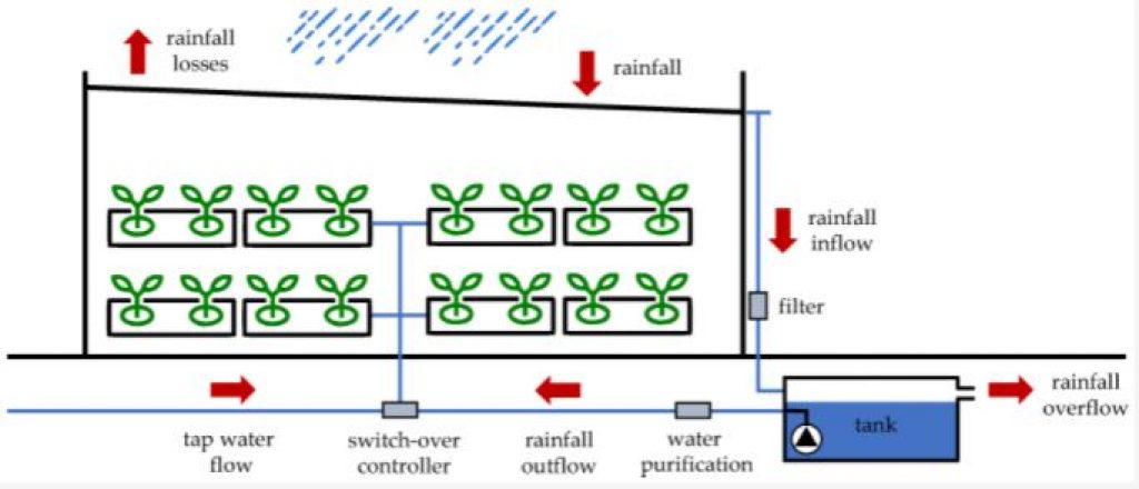 Rainwater harvesting for vertical growing systems — indoor vertical farming.
