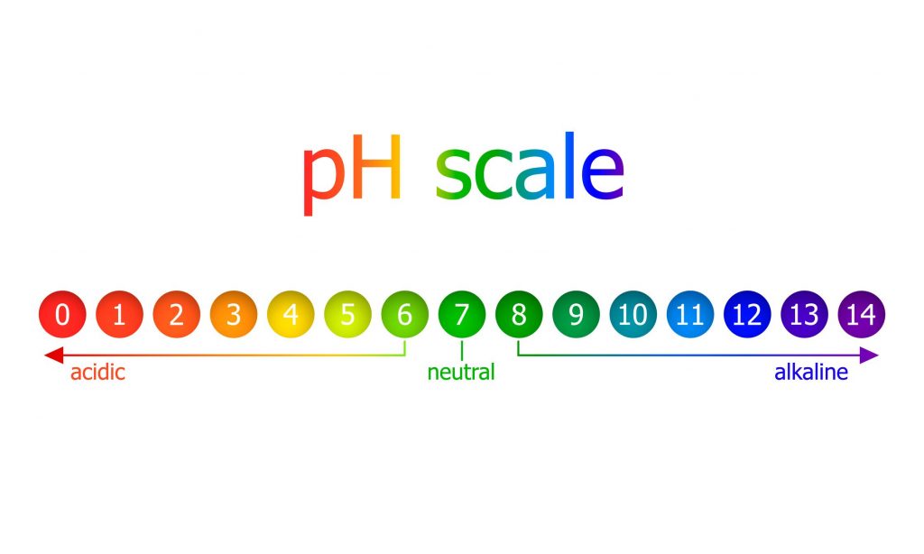 Colors associated with pH levels on the pH scale. 