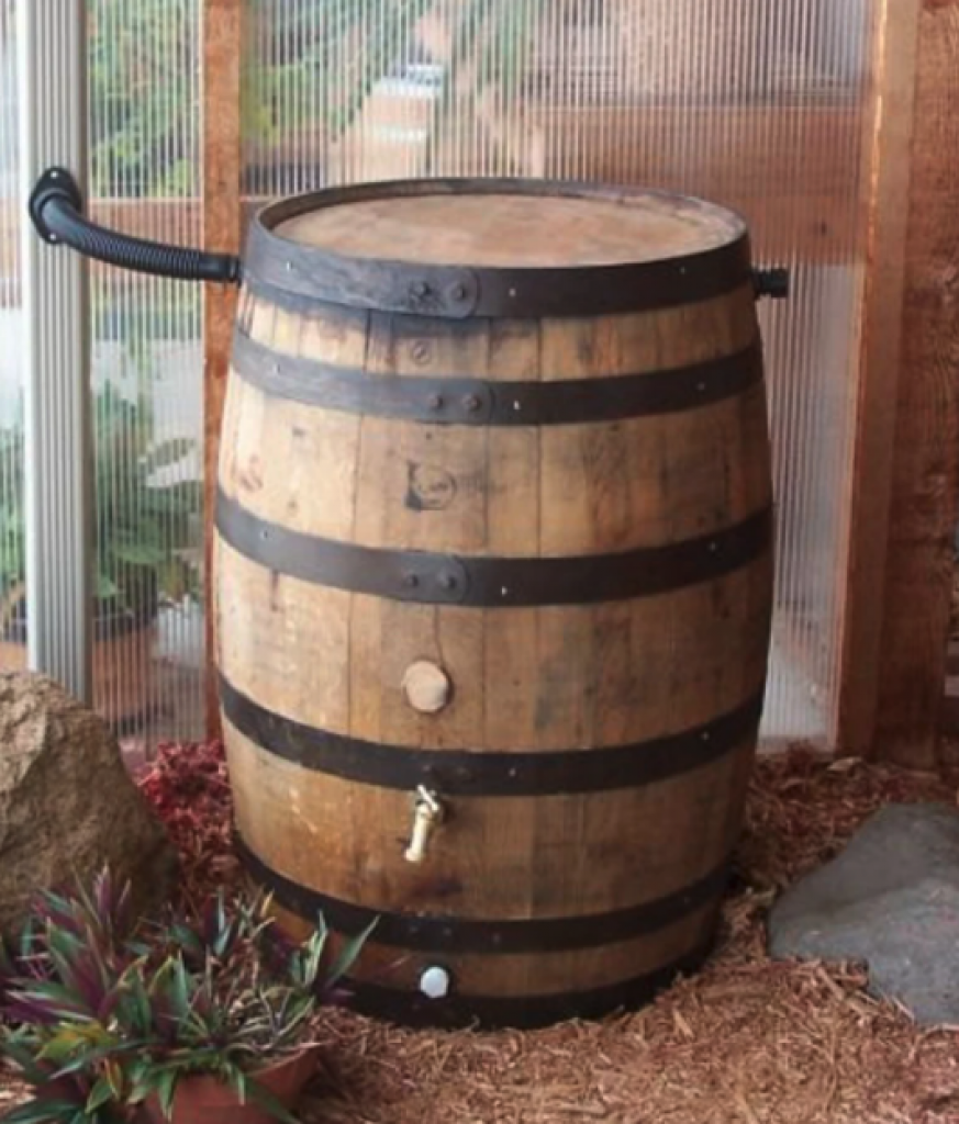 White Oak Whiskey Rain Barrel.