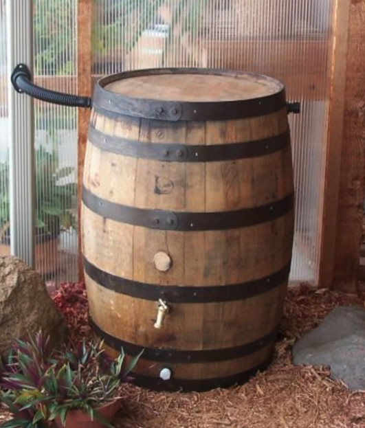 10 Best Rain Barrels (Buyers Guide)