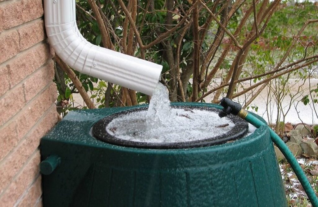 Rain barrels come in different shapes and sizes; it's essential that you choose the right one to suit your needs.