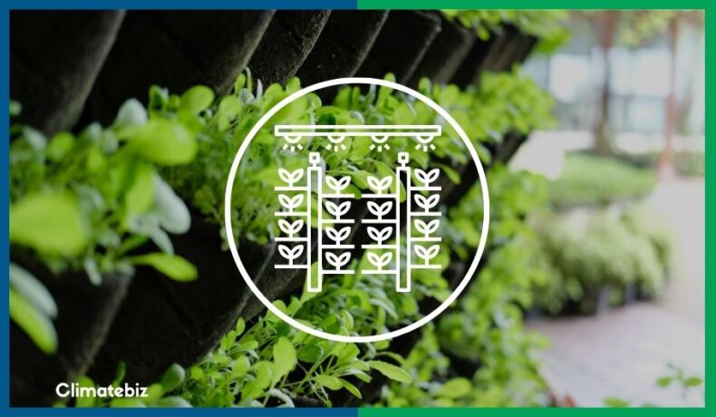 best vegetables for vertical gardening