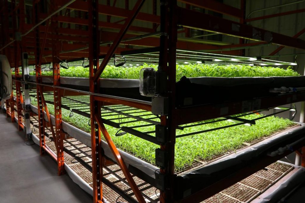 Example of an indoor vertical farming garage set-up — indoor vertical farming.