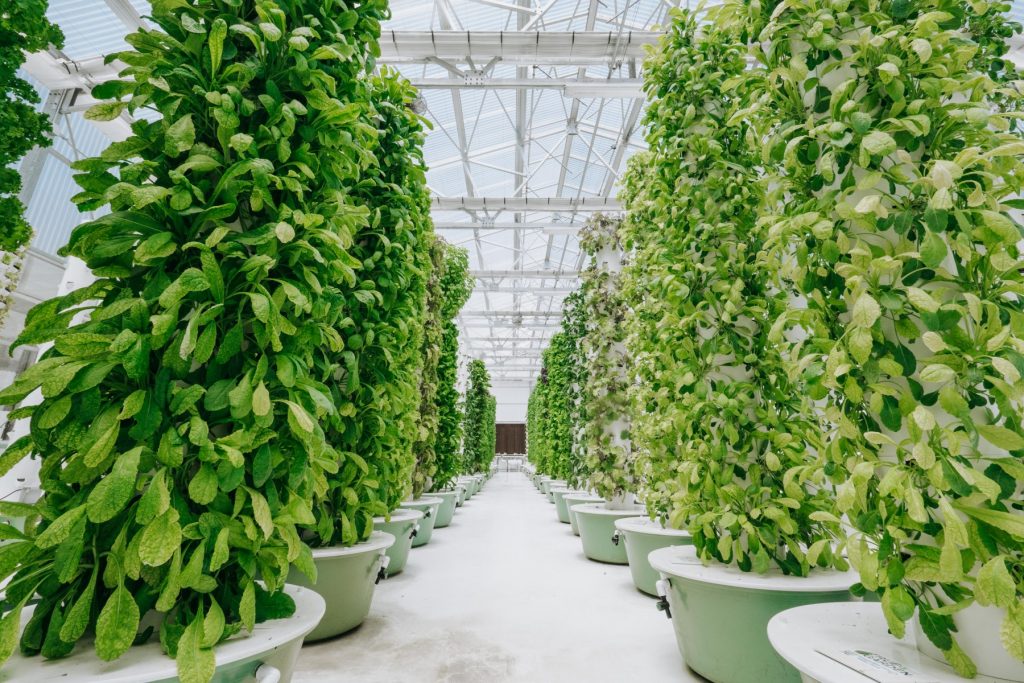 A tower garden. 