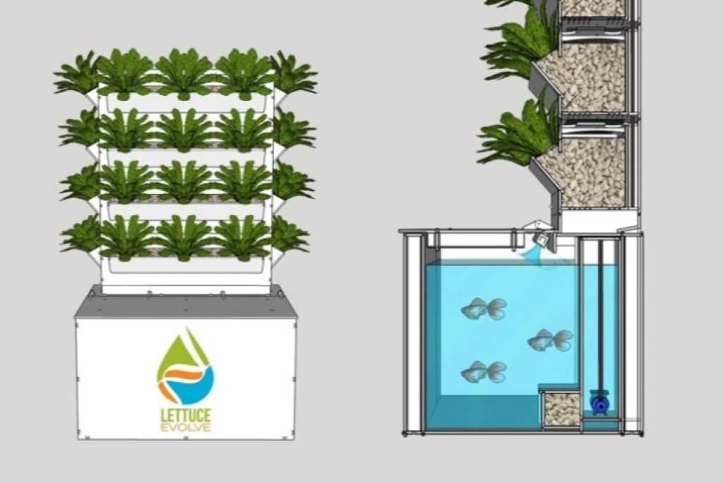 Basic structure of a vertical aquaponic gardening system 