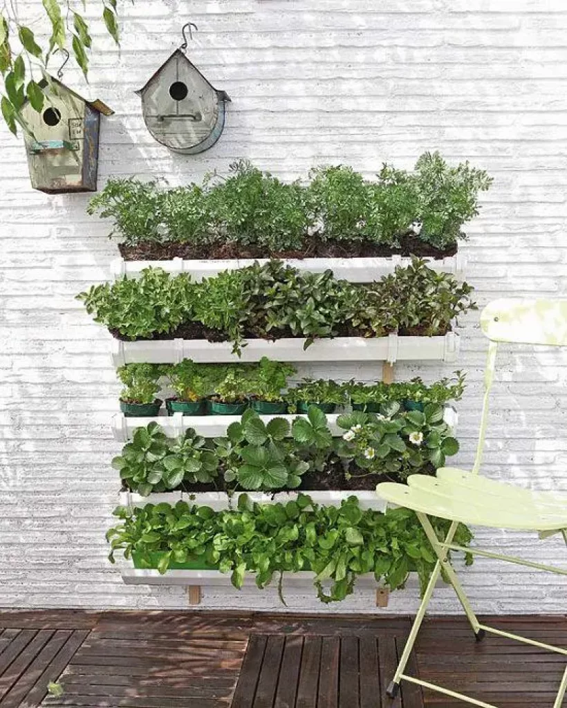 Balcony trellis structure of vegetables for vertical gardening 
