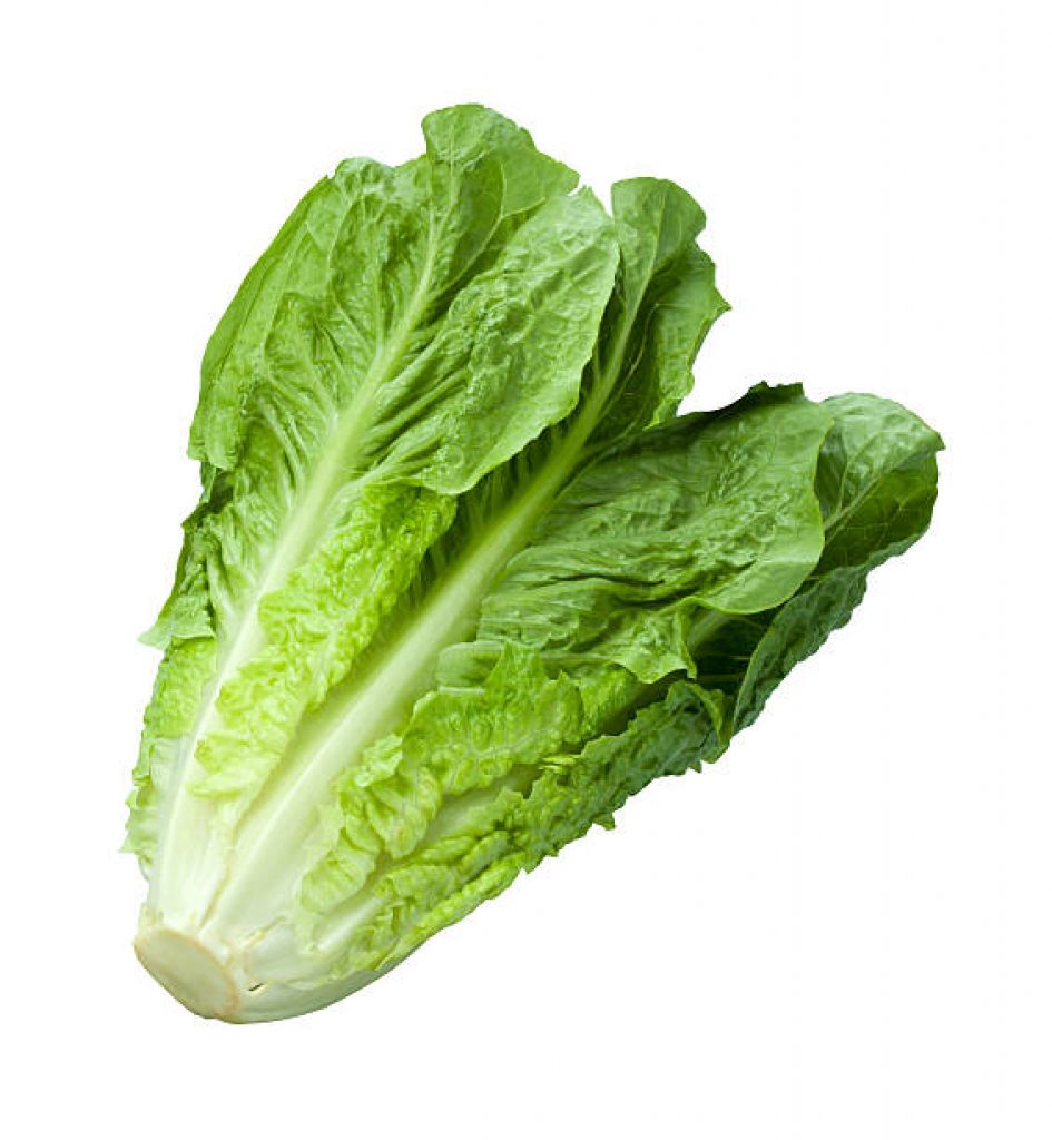 Romaine lettuce. 