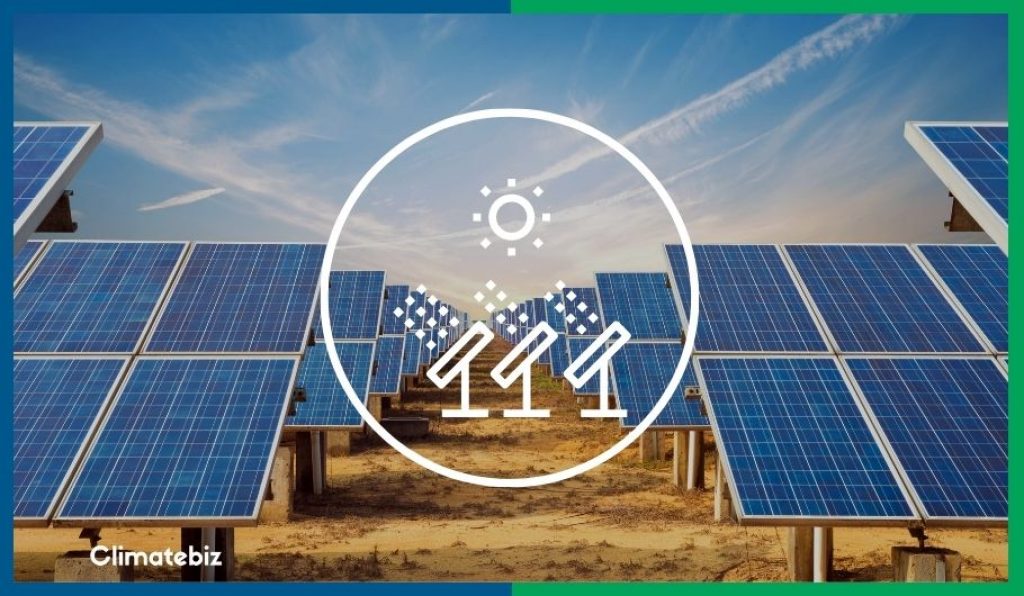 How Much Energy Will 50 Solar Panels Produce?