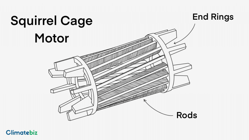 Squirrel Cage Motor — EV tuning.