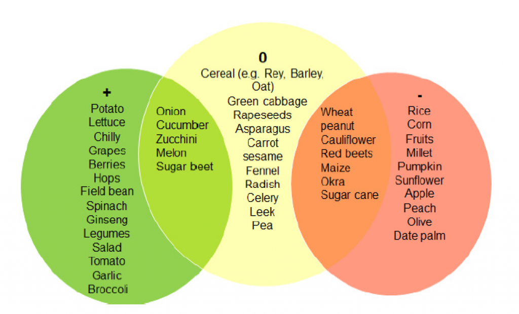 Crops compatible with agrivoltaics — agrivoltaics advantages and disadvantages.