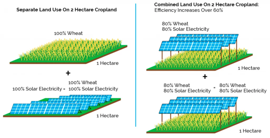 Increase in land productivity via agrivoltaics — agrivoltaics advantages and disadvantages.