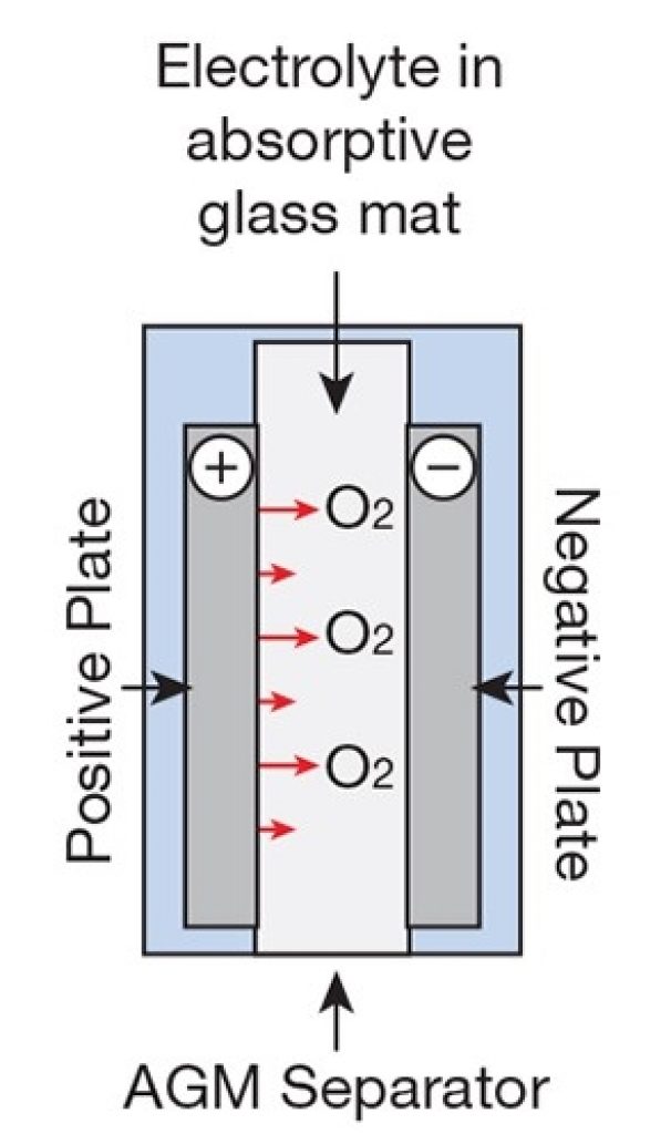 AGM cell illustration: AGM vs Gel