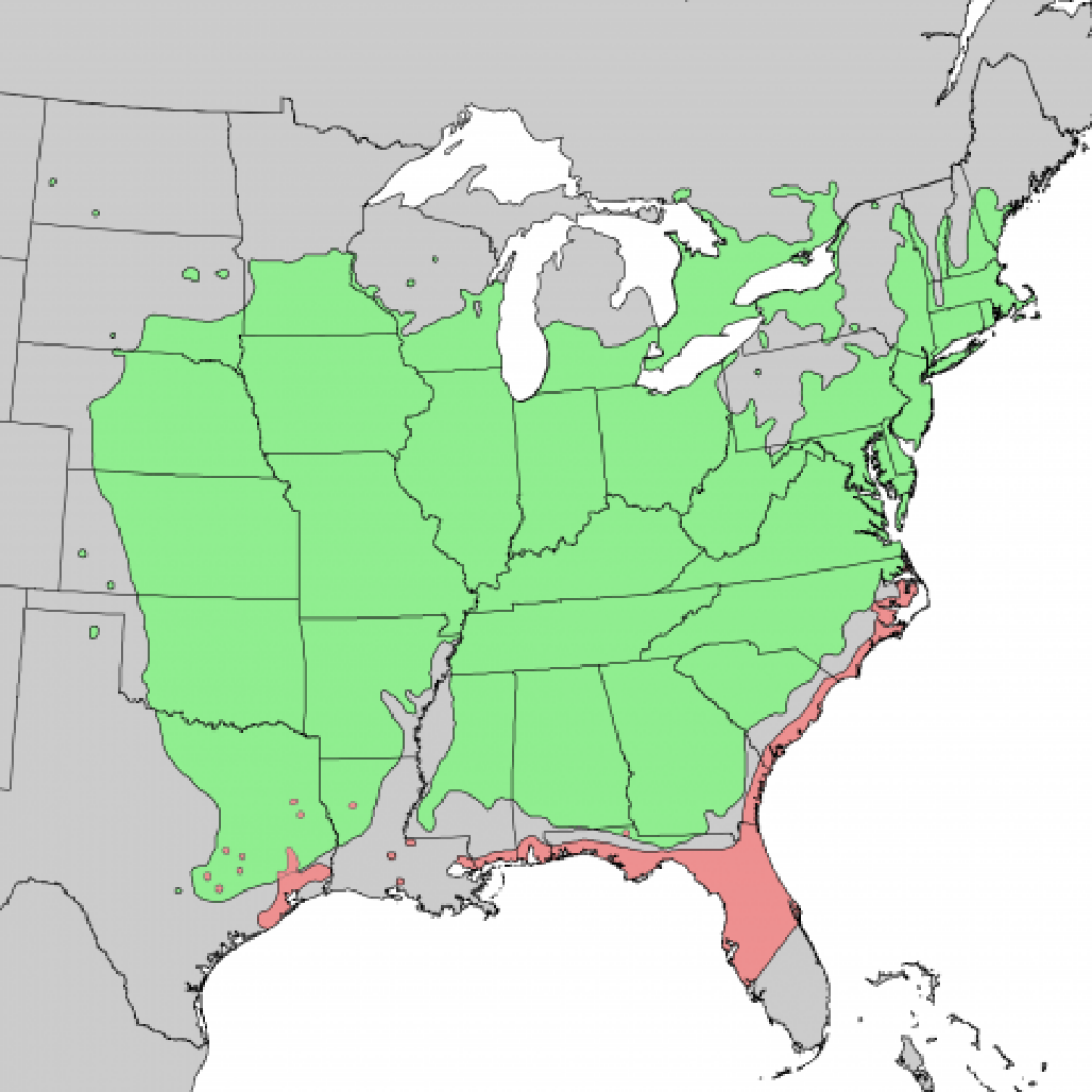 A map showing the typical species distribution of the eastern red cedar tree. 