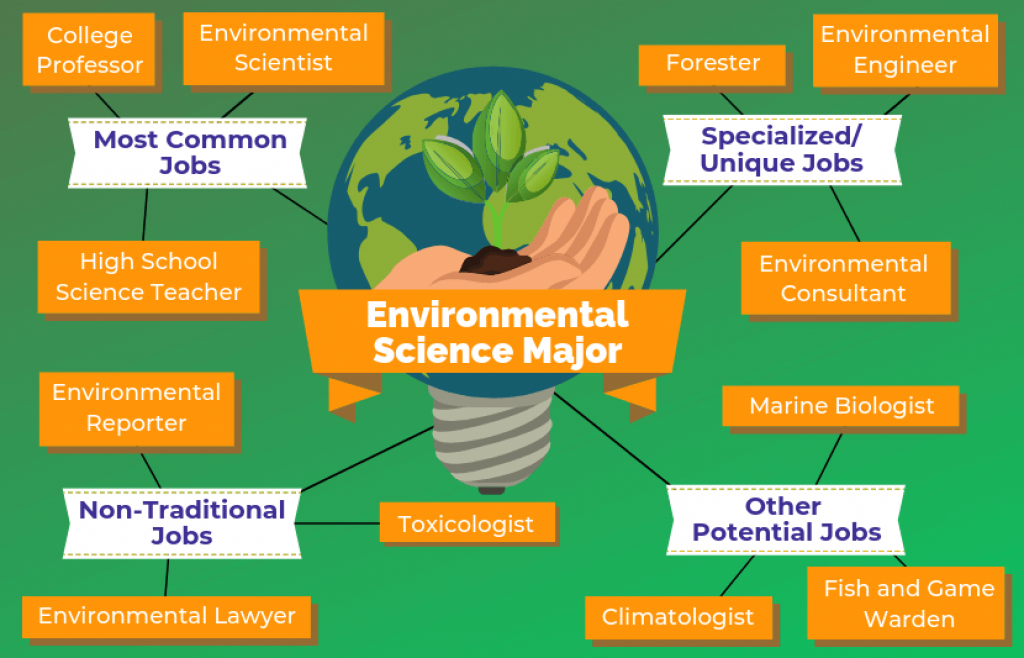 Job options for an environmental scientist.