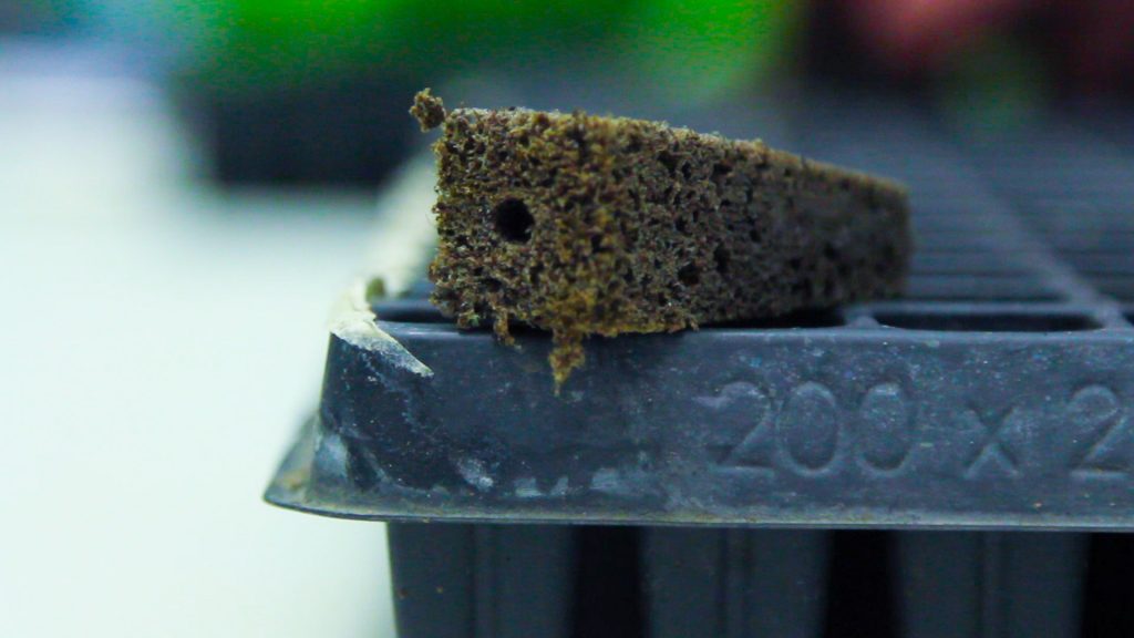 A close-up shot of a peat starter plug. 