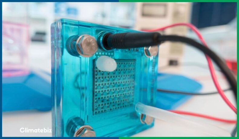 In this article, we teach you how to build a DIY hydrogen fuel cell without chemicals or toxic material.