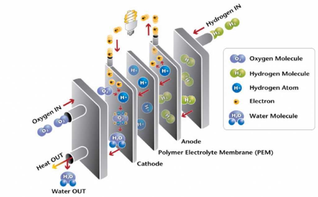 Working principle of a PEM hydrogen fuel cell.
