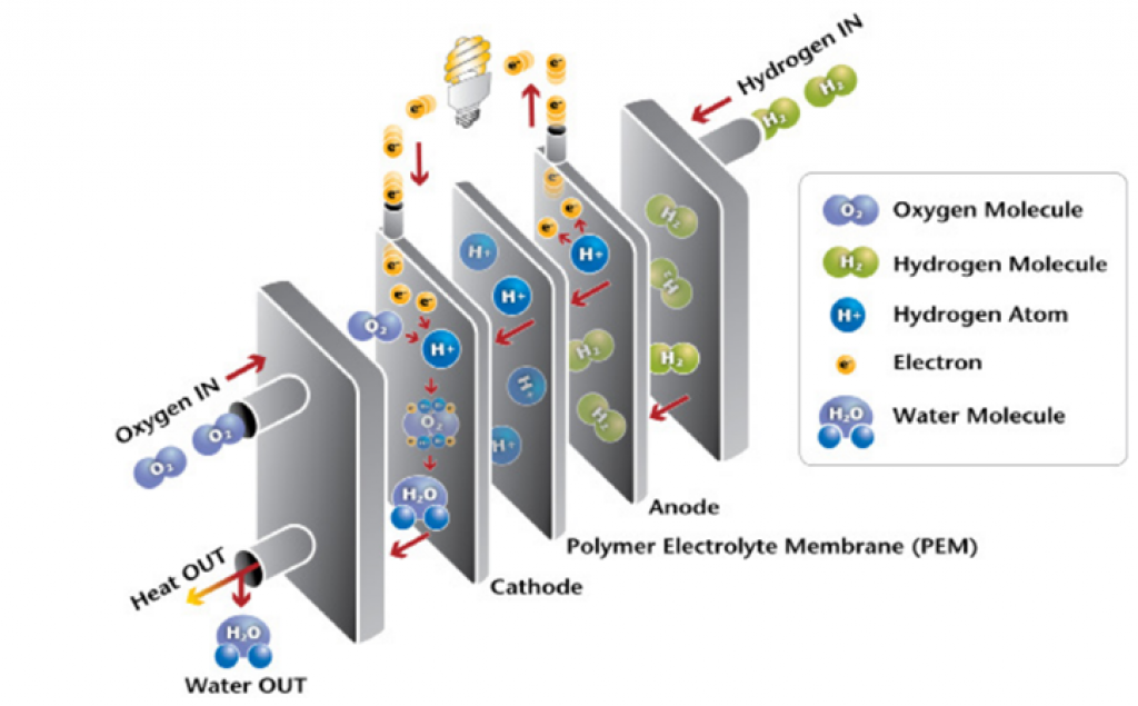 Working principle of a PEM hydrogen fuel cell. 
