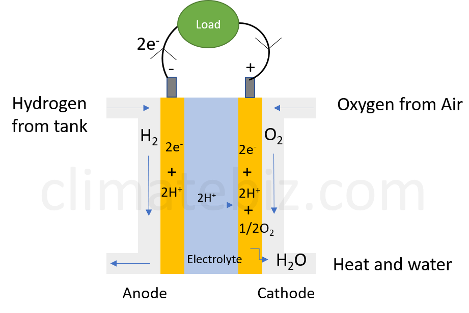 Hydrogen Fuel Cells Vs. Lithium-ion Batteries: Powering Evs